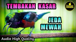 Download lagu SUARA BURUNG KONIN TEMBAKAN KASAR GACOR FULL ISIAN JEDA MEWAH COCOK UNTUK KOLIBRI NINJA BAHAN IJOAN mp3 Download lagu SUARA BURUNG KONIN TEMBAKAN KASAR GACOR FULL ISIAN JEDA MEWAH COCOK UNTUK KOLIBRI NINJA BAHAN IJOAN mp3