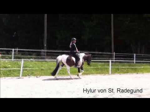 Hylur_von_St_Radegund