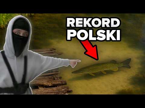 I Discovered Big Fish in an Almost Dry Pond