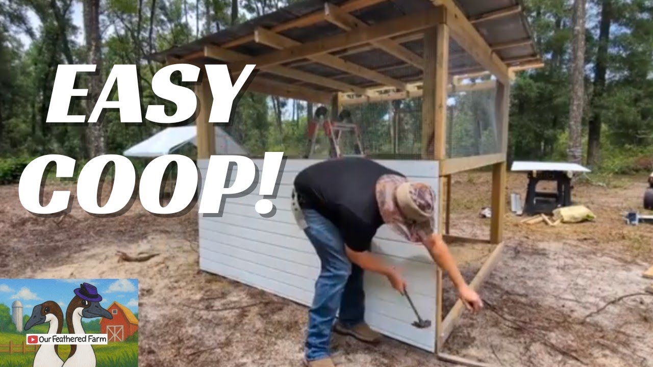 We Built The Perfect Chicken Coop! DIY