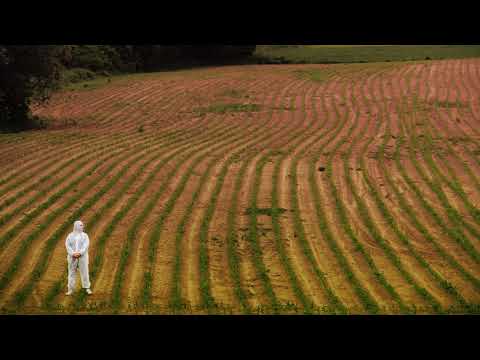 Zwierzak - Safari (feat. SIVXVIT, Pancerny / prod. Rave One)