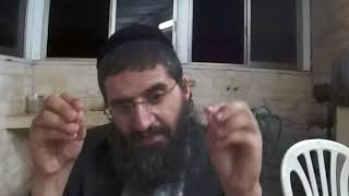 הרב אופיר טנג'י -"תהילות ישראל"- פירושים מתוקים על ספר תהלים בדרך הפשט,המוסר,המוסר והחסידות - חלק א'