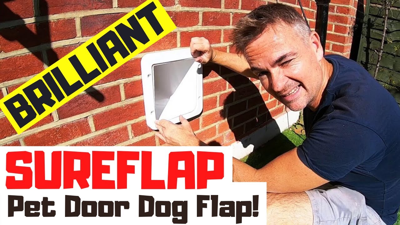 Sureflap microchip pet door & Cat Flap