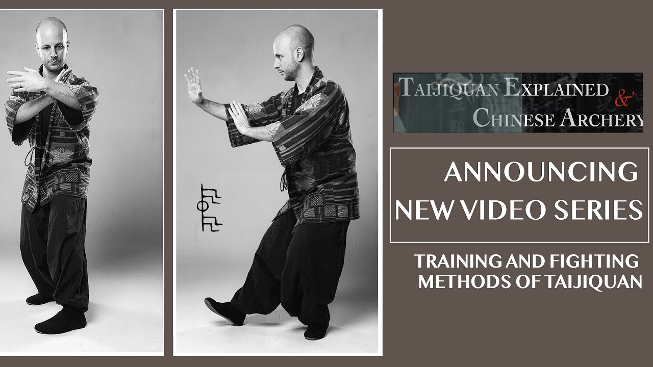 Video Series Mattia Baldi 's Taijiquan