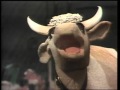 Rua Sésamo Tenho Orgulho Em Ser Uma Vaca