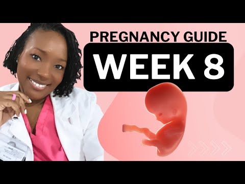 8 Weeks Pregnant: What To Expect