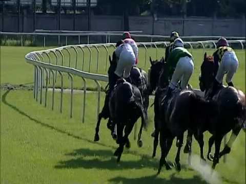 2017.05.28 Premio Carlo Vittadini (ITA) - Circus Couture