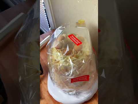 Shipping Cakes #shorts #shipping