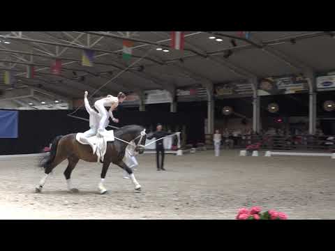 HWR Junior freestyle