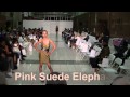 Pink Suede Elephant @ Status Fashion Show 