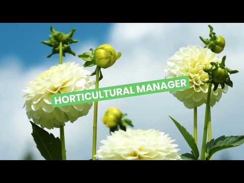 Horticultural manager video 3