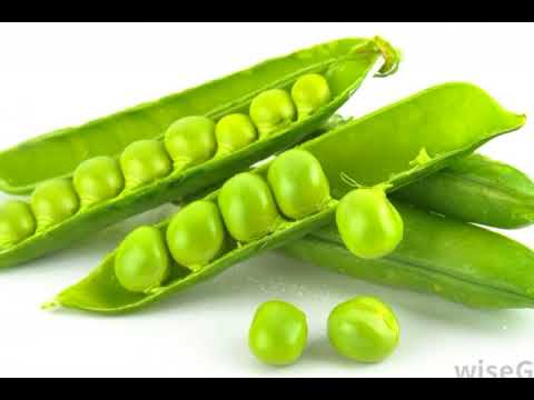 image-What is the family of pea?