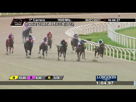 210130 c01 CAFE NOTE RINDAS