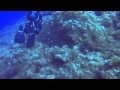 Diving at Gozo - Dwejra Point - Blue Hole - Malta with Sea Shell Dive Centre - 2014.06.23