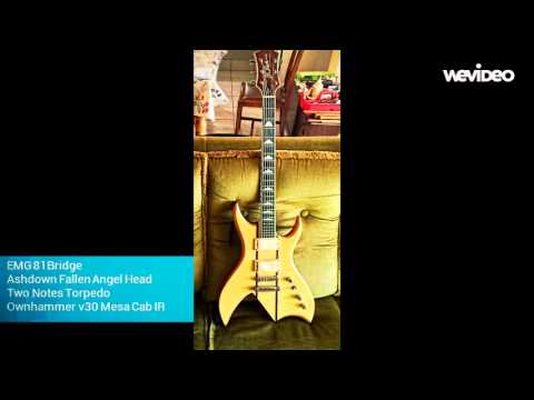 Bill & Becky L500L Vs EMG 81 Vs Dimarzio Evolution