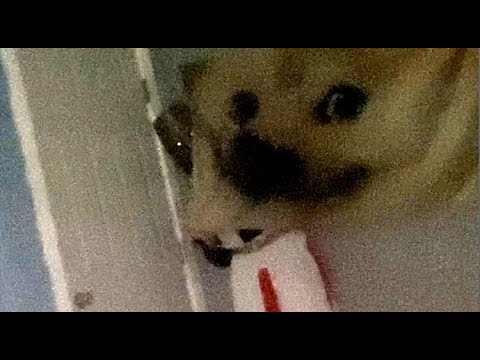 A day in the life of Bread Boys