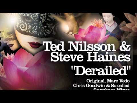 Ted Nillson & Steve Haines - Derailed (Chris Goodwin Remix)