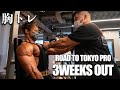 オリンピア出場をかけた大一番【TOKYO PRO】まで3週間! パーソナルトレーニング胸