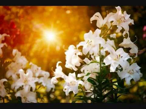 Žilju moj  - Klapa Viola