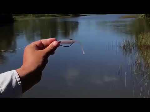 Vídeo Isca Soft Big Ones Round Tail 115