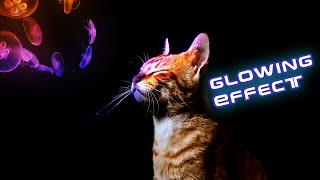 Adobe Photoshop Tutorial | Glow Effect on Cat's face (Photo-Manipulation) Learn Creative Digital Art