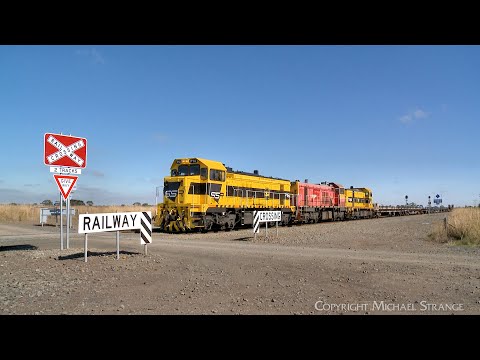 9166 Southern Shorthaul Railroad (SSR) Broad Gauge Rail Train (14/4/2023) - PoathTV Railways