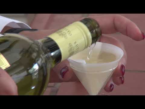 Kutjevo d.d. - Berba Kutjevo