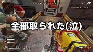 『APEX』野良でとてもかわいい人に出会ったひと夏の物語