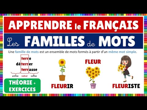 Vocabulaire : les familles de mots