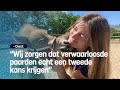 Calijn (20) werkt 7 dagen per week op de paardenopvang | RTV Oost