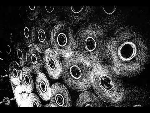 Mysterious8888 w / skele