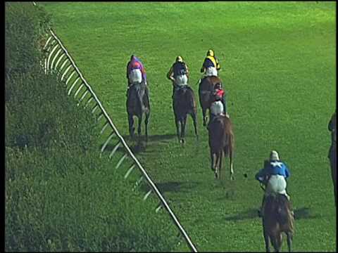 Galoppo 09/11/2016 - 6ª corsa