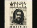 Peter Tosh - Nothing But Love