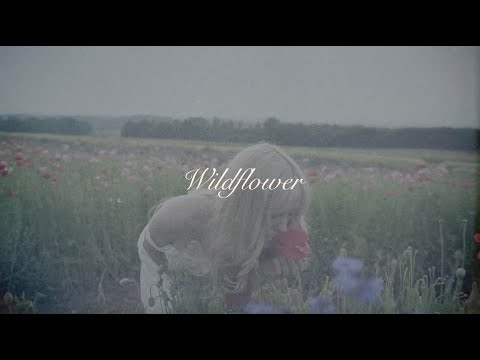 Zandi Holup - Wildflower (Lyric Video)