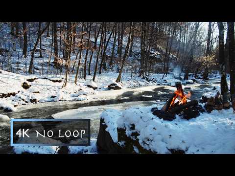 2 hours - NO LOOP ❄️ Campfire by the Snowy River | Campfire Sounds | Winter Ambience | 4K ULTRA HD