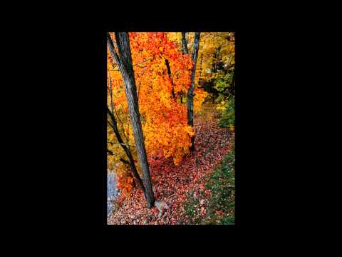 Late Autumn by Brown/Åberg - Hanna-Maria Strand, mezzo