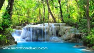 Binaural Sounds Nature Music Beat: Water Stream, Rain, Birds and Tibetan Bells
