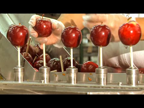 Caramel Apples Making Process | Amazing Apples Production Line | How Caramel Apples Is Made