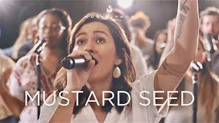 Mountains Move (Mustard Seed)