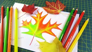 my REVIEW -  Tested CRAYOLA vs. FABER-CASTELL - Using Crayol