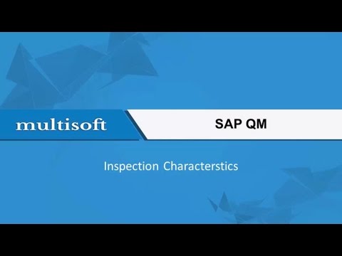 Sample Video for SAP QM Inspection 