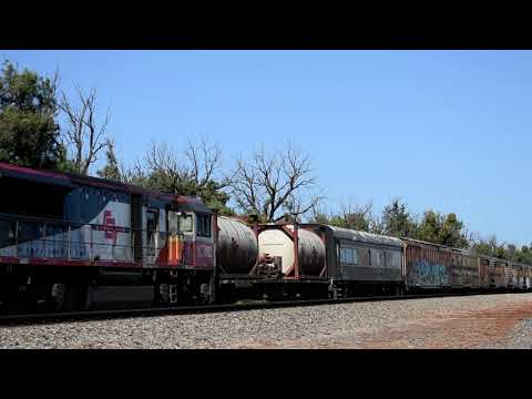 Freight Train (3MP9)