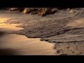 Moby (Feat. Skylar Grey) - The Last Day ...
