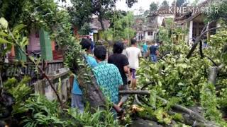 preview picture of video 'Angin puting beliung menghantam dusun talang desa watuagung kec. Prigen'