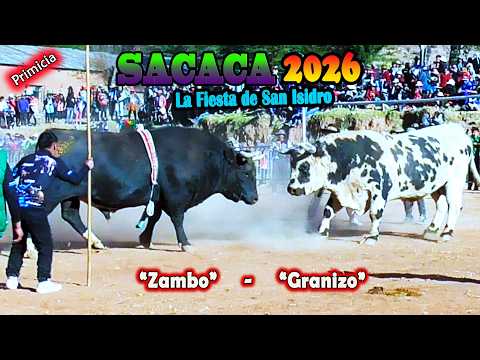 La fiesta de San Isidro SACACA 2026 T4, "Granizo-Zambo". Video Oficial de ALPRO BO.