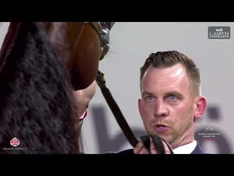 N 82 RHAN AL SHAHANIA   Global Champions Arabians Tour Muscat   Stallions 4+ Years Old Section B Cla