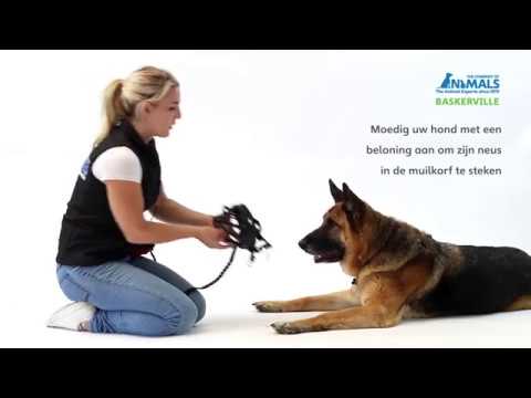 UW HOND LATEN WENNEN AAN DE BASKERVILLE ULTRA   MUILKORF