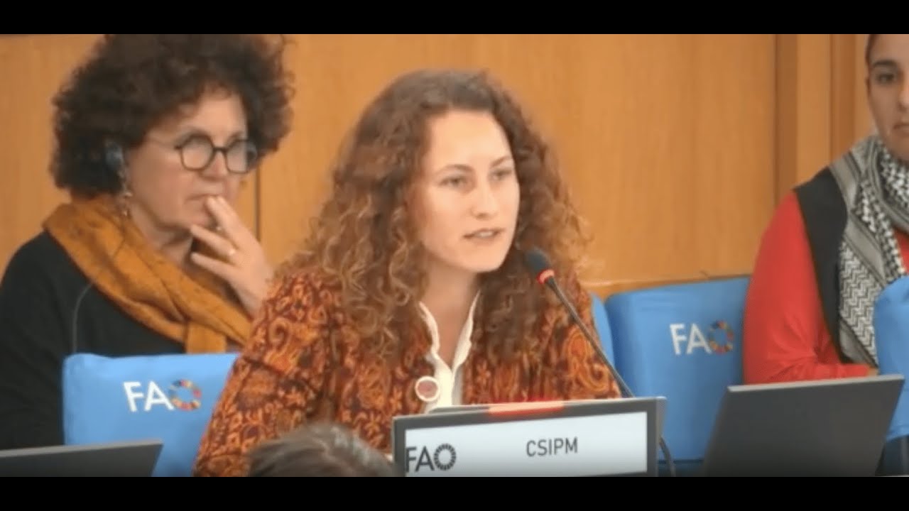 Intervention: Flora Sonkin - CSIPM, CFS plenary, High Level Event on Financing for Food Security