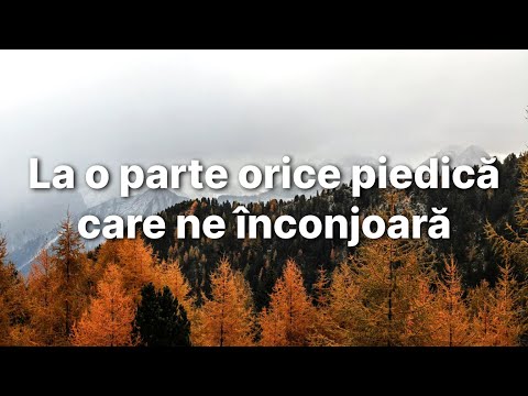 La o parte orice piedică care ne înconjoară - Cornel Brie - Convenția din Peceiu