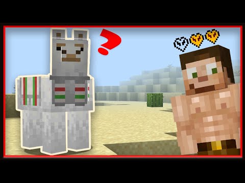 3RD Life SMP - episode 2:  What Happened To Pizza?!
